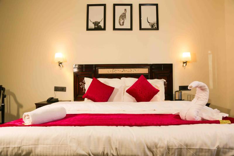 best luxury hotel in ladakh