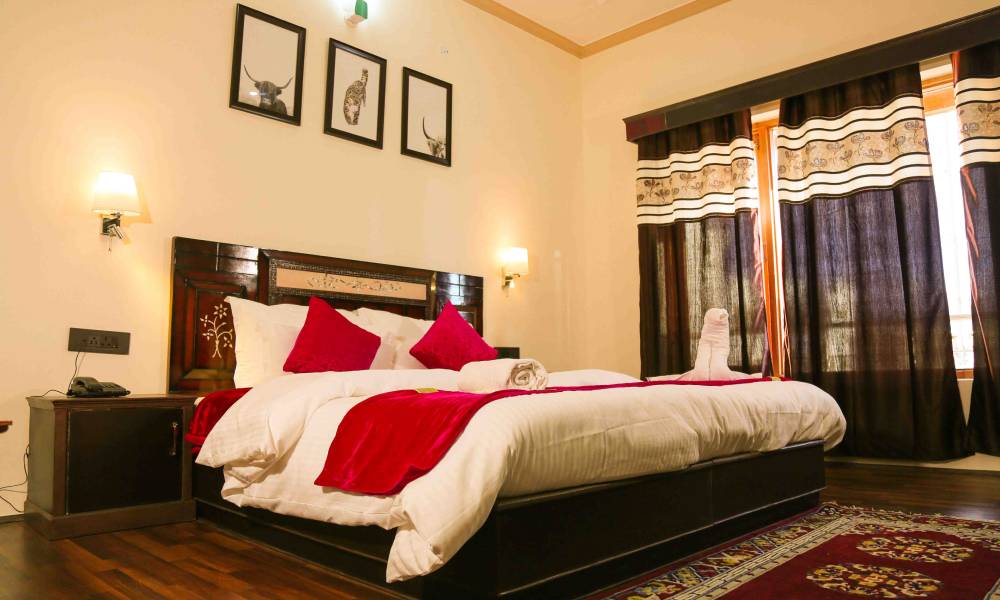 top 10 hotel in Leh Ladakh